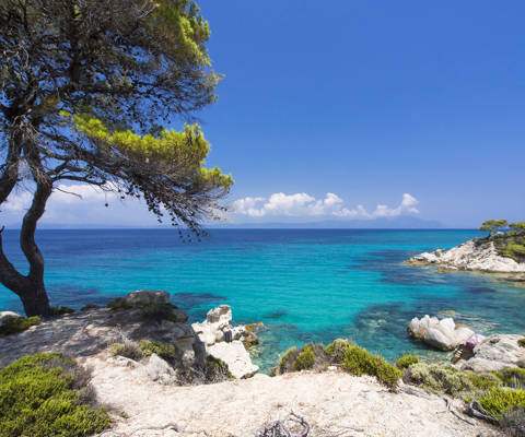 Halkidiki sea with crystal clear water